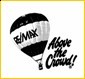 RE/MAX Realty Professionals - Company logo