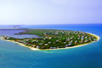 Resort Properties Internationale LLC - Company logo