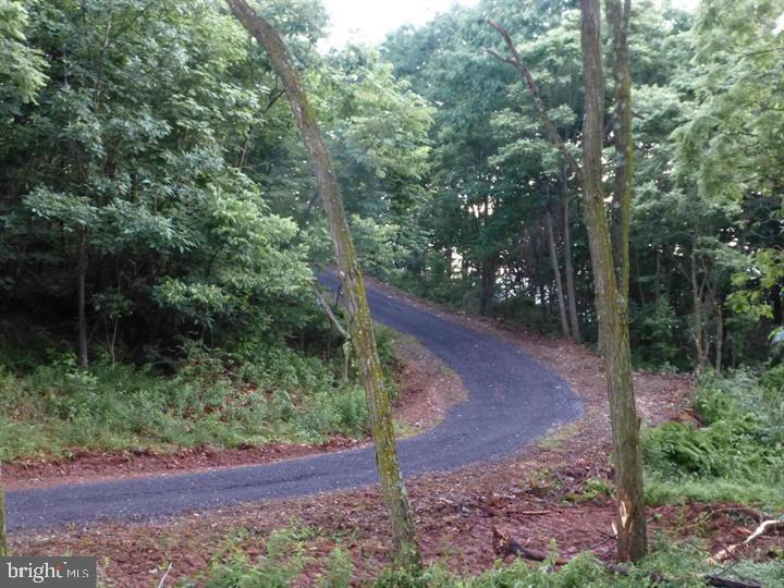 333 NATHANIEL MOUNTAIN ROAD, MOOREFIELD - Photo 21 of 25