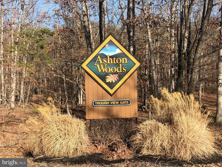 333 NATHANIEL MOUNTAIN ROAD, MOOREFIELD - Photo 18 of 25
