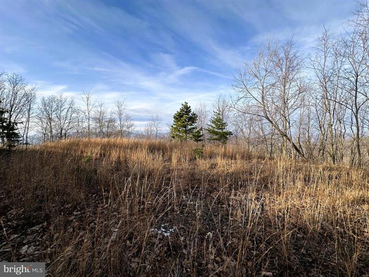 333 NATHANIEL MOUNTAIN ROAD, MOOREFIELD - Photo 2 of 25