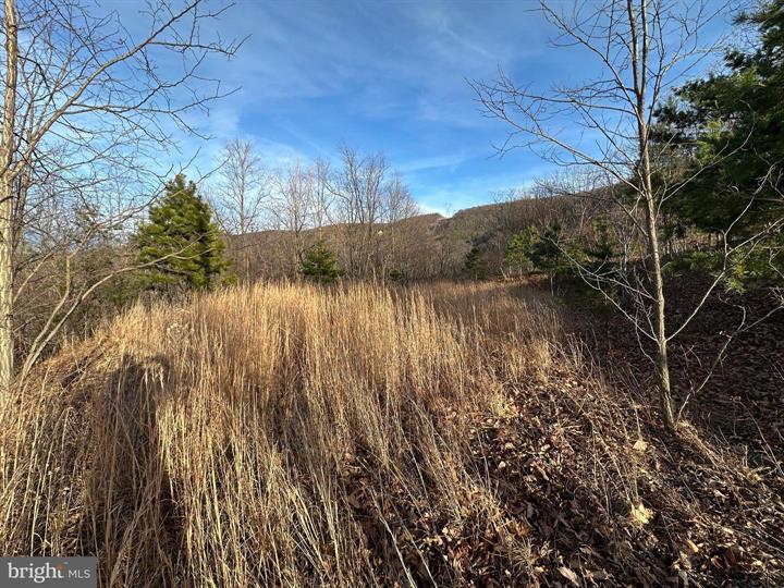 333 NATHANIEL MOUNTAIN ROAD, MOOREFIELD - Photo 14 of 25