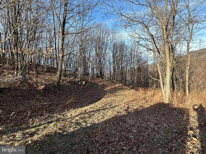 333 NATHANIEL MOUNTAIN ROAD, MOOREFIELD - Photo 12 of 25