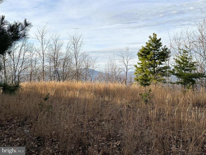 333 NATHANIEL MOUNTAIN ROAD, MOOREFIELD - Photo 15 of 25