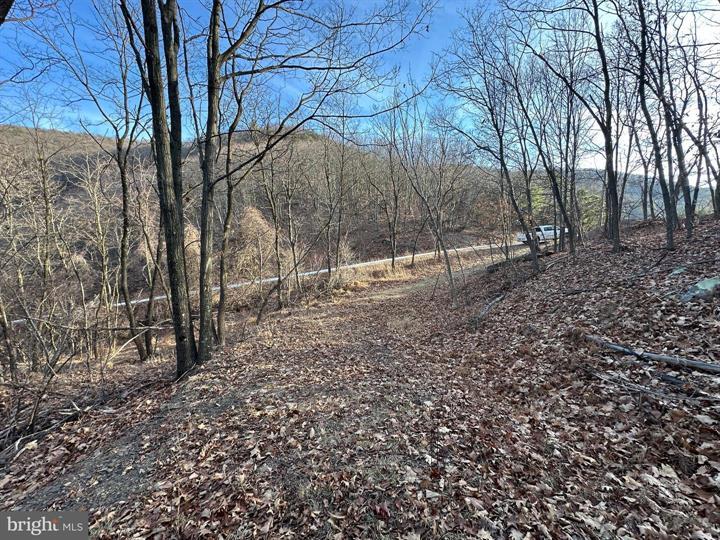 333 NATHANIEL MOUNTAIN ROAD, MOOREFIELD - Photo 11 of 25