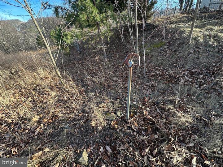 333 NATHANIEL MOUNTAIN ROAD, MOOREFIELD - Photo 17 of 25