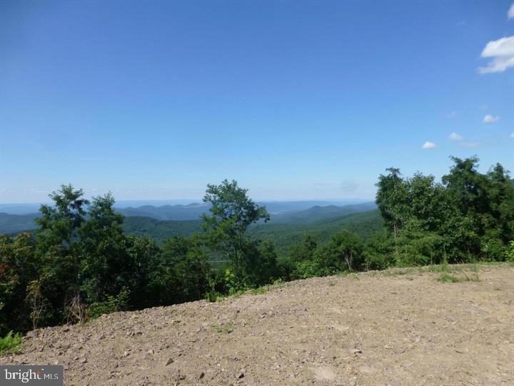 333 NATHANIEL MOUNTAIN ROAD, MOOREFIELD - Photo 20 of 25