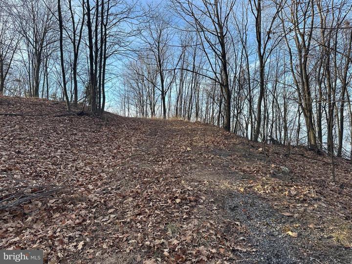 333 NATHANIEL MOUNTAIN ROAD, MOOREFIELD - Photo 13 of 25