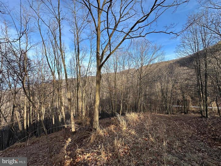 333 NATHANIEL MOUNTAIN ROAD, MOOREFIELD - Photo 16 of 25