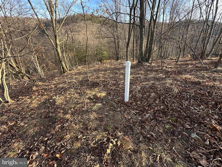 333 NATHANIEL MOUNTAIN ROAD, MOOREFIELD - Photo 7 of 25