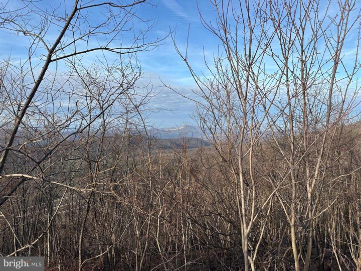 333 NATHANIEL MOUNTAIN ROAD, MOOREFIELD - Photo 3 of 25