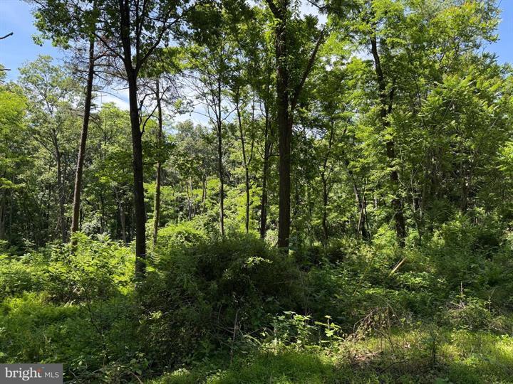 80 CABIN ROAD, AUGUSTA - Photo 4 of 5