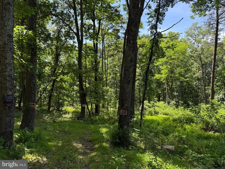 80 CABIN ROAD, AUGUSTA - Photo 1 of 5