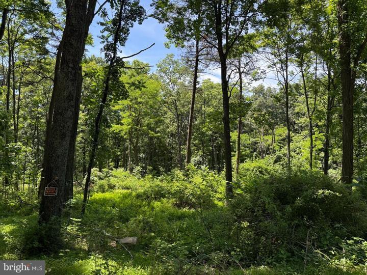 80 CABIN ROAD, AUGUSTA - Photo 5 of 5