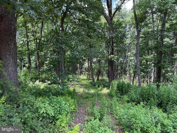 80 CABIN ROAD, AUGUSTA - Photo 2 of 5