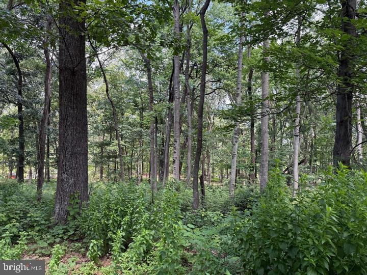 80 CABIN ROAD, AUGUSTA - Photo 3 of 5