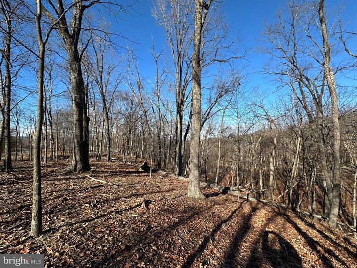 23 MOUNTAIN HOME SD, FORT ASHBY - Photo 13 of 25