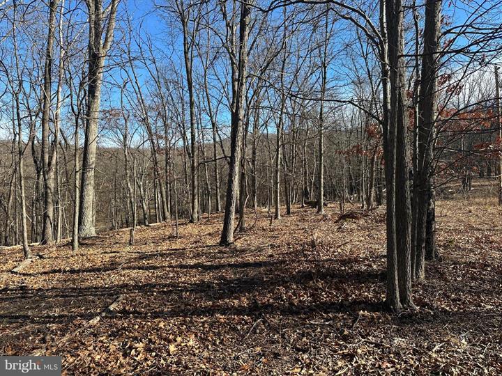 23 MOUNTAIN HOME SD, FORT ASHBY - Photo 5 of 25