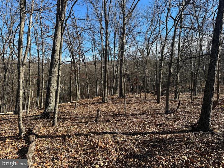 23 MOUNTAIN HOME SD, FORT ASHBY - Photo 6 of 25