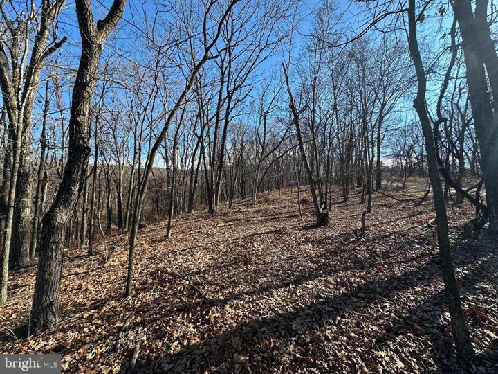 23 MOUNTAIN HOME SD, FORT ASHBY - Photo 12 of 25