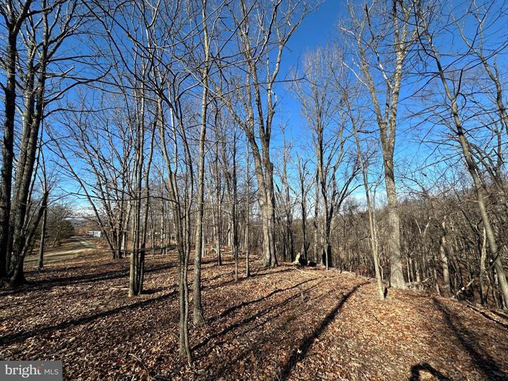 23 MOUNTAIN HOME SD, FORT ASHBY - Photo 14 of 25
