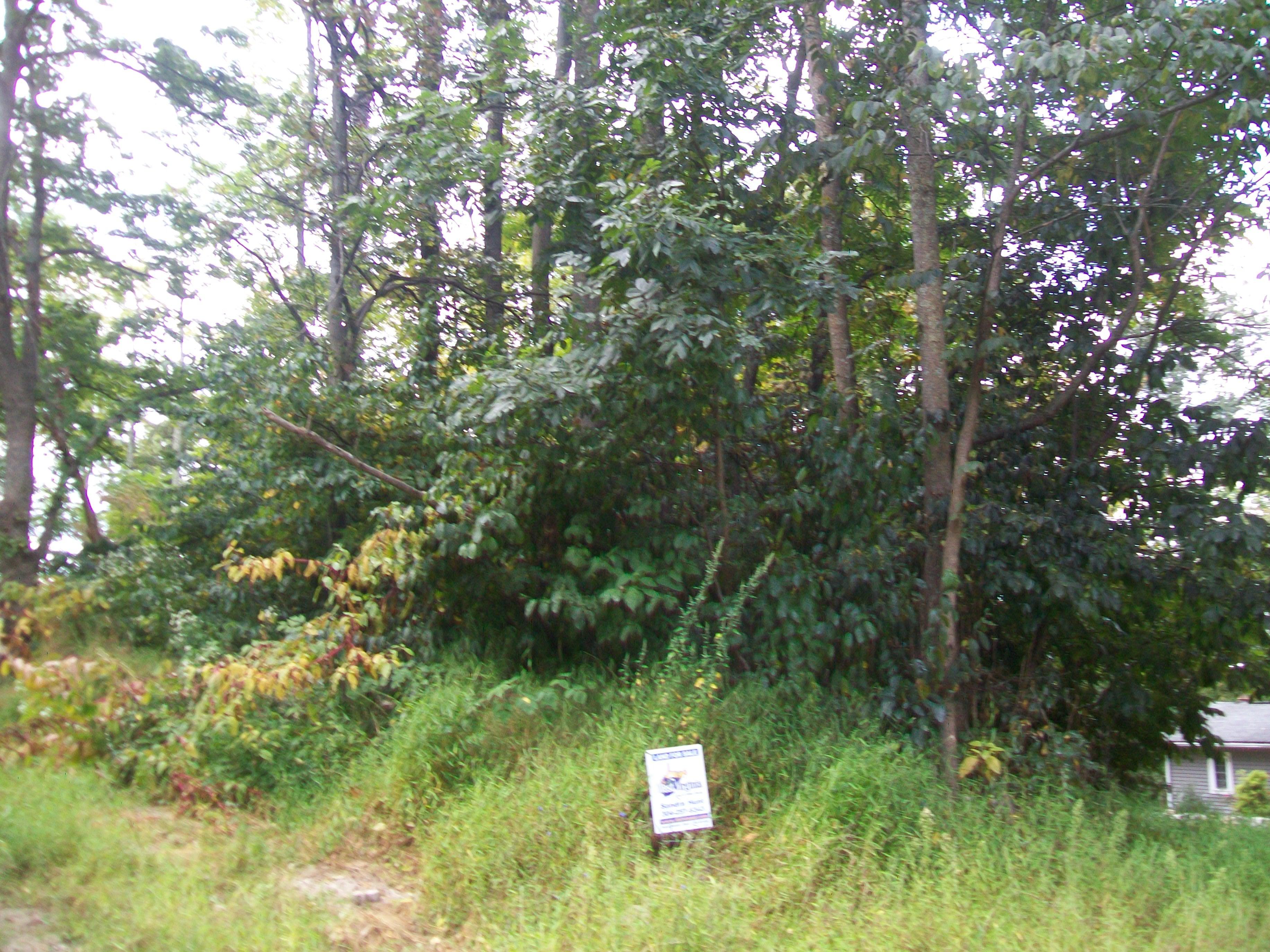 NATIVE TROUT DRIVE, SUGAR GROVE - Photo 5 of 6