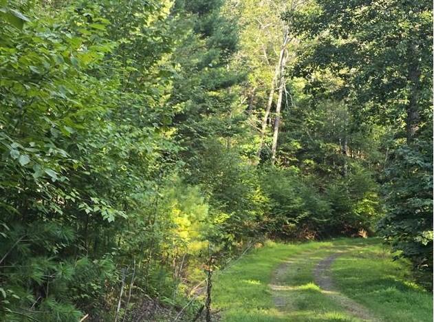 NATIVE TROUT DRIVE, SUGAR GROVE - Photo 2 of 6