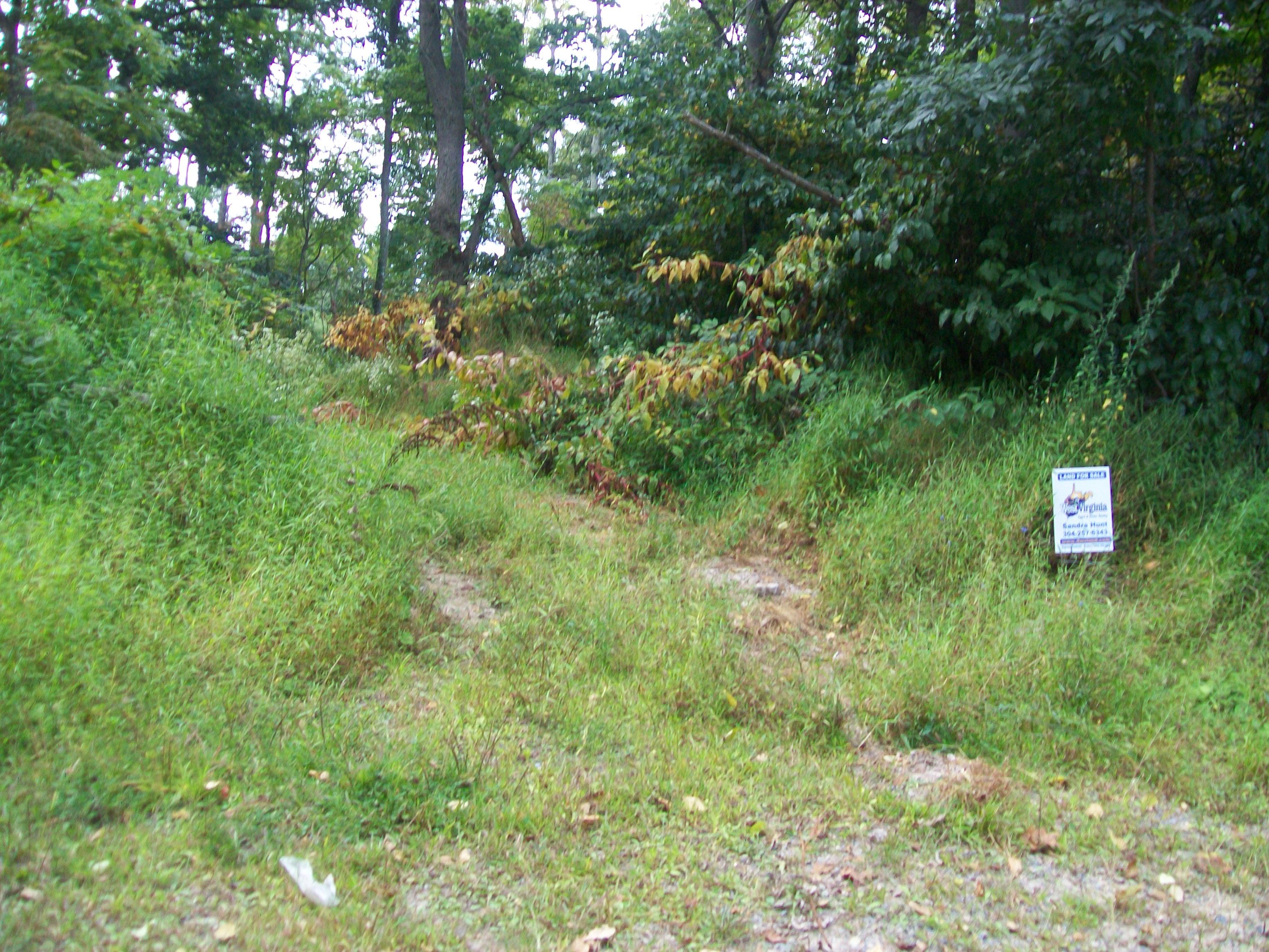 NATIVE TROUT DRIVE, SUGAR GROVE - Photo 4 of 6