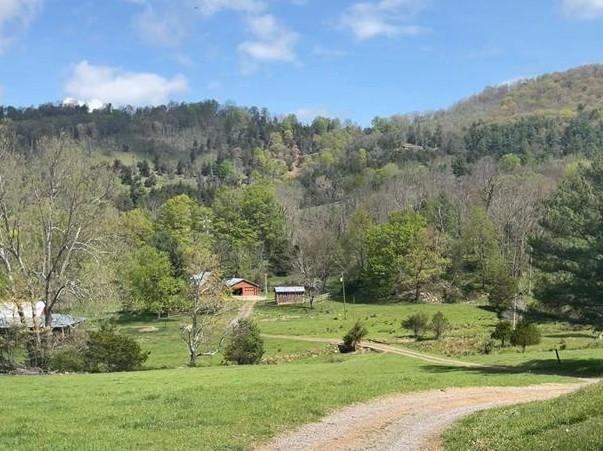5621 KISER GAP ROAD, FRANKLIN - Photo 13 of 25