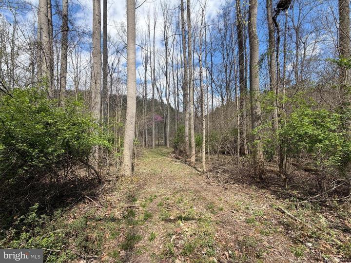 45 CACAPON HILLS, PAW PAW - Photo 9 of 25