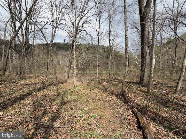 45 CACAPON HILLS, PAW PAW - Photo 24 of 25
