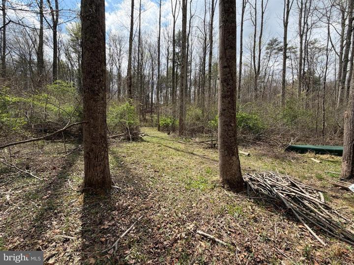 45 CACAPON HILLS, PAW PAW - Photo 23 of 25