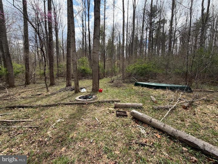 45 CACAPON HILLS, PAW PAW - Photo 8 of 25
