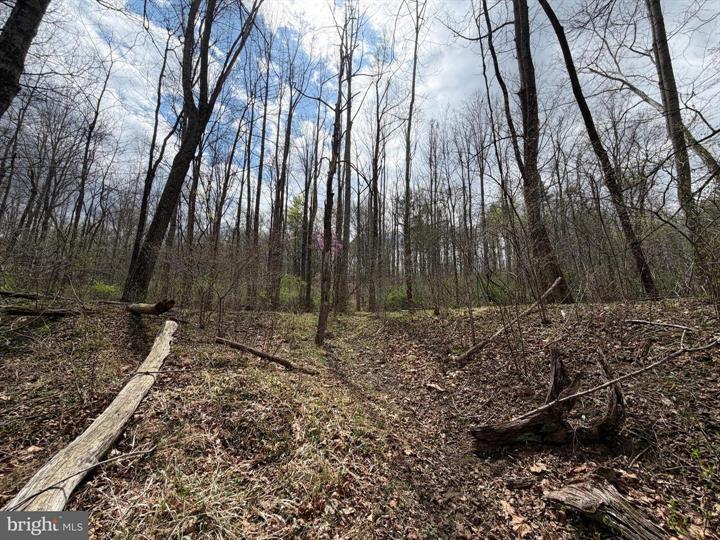 45 CACAPON HILLS, PAW PAW - Photo 25 of 25