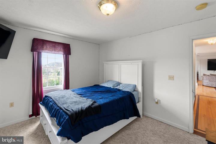 106 WATERVIEW DRIVE, CAPON BRIDGE - Photo 20 of 25