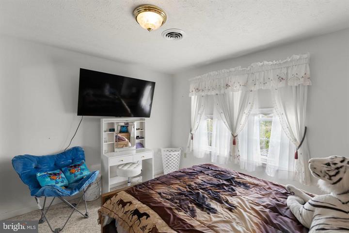 106 WATERVIEW DRIVE, CAPON BRIDGE - Photo 21 of 25