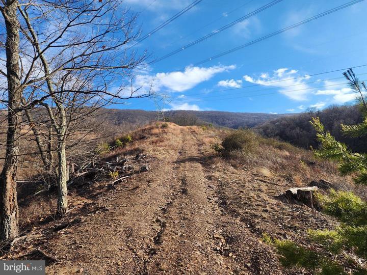 289 ASHTON WOODS, MOOREFIELD - Photo 8 of 25