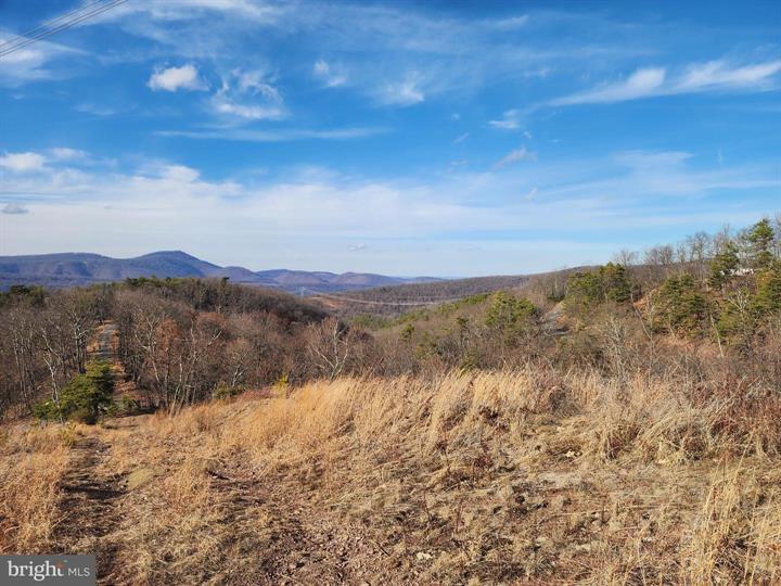 289 ASHTON WOODS, MOOREFIELD - Photo 9 of 25