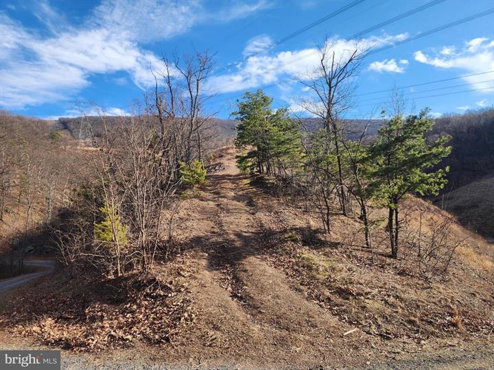 289 ASHTON WOODS, MOOREFIELD - Photo 6 of 25