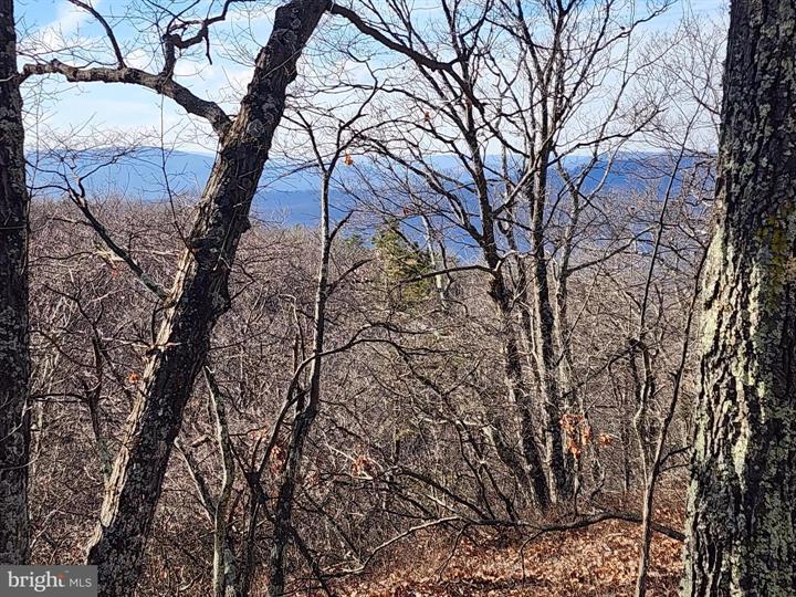 289 ASHTON WOODS, MOOREFIELD - Photo 7 of 25