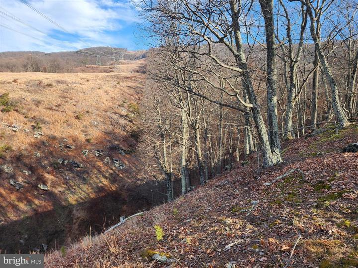289 ASHTON WOODS, MOOREFIELD - Photo 12 of 25
