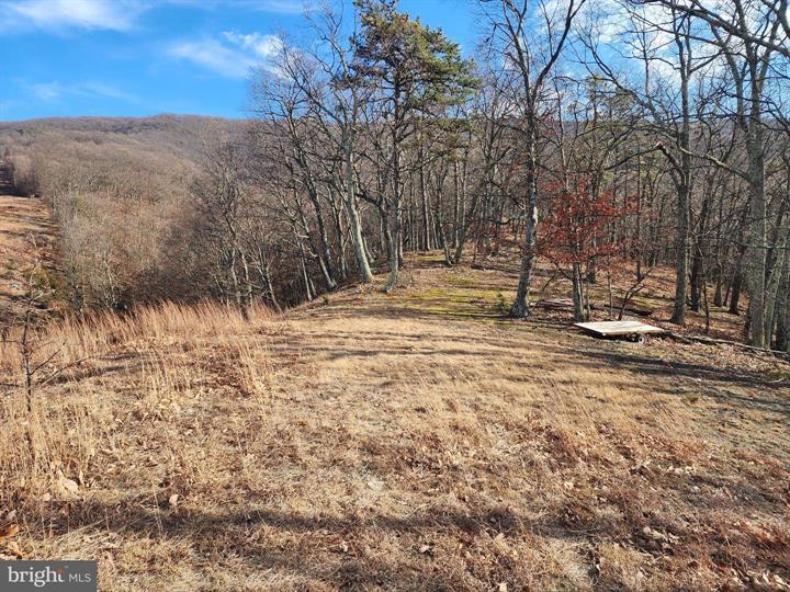289 ASHTON WOODS, MOOREFIELD - Photo 16 of 25