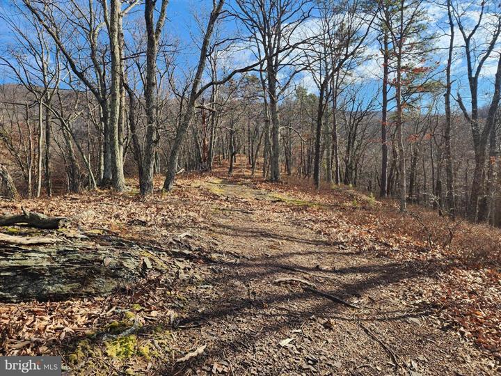 289 ASHTON WOODS, MOOREFIELD - Photo 18 of 25