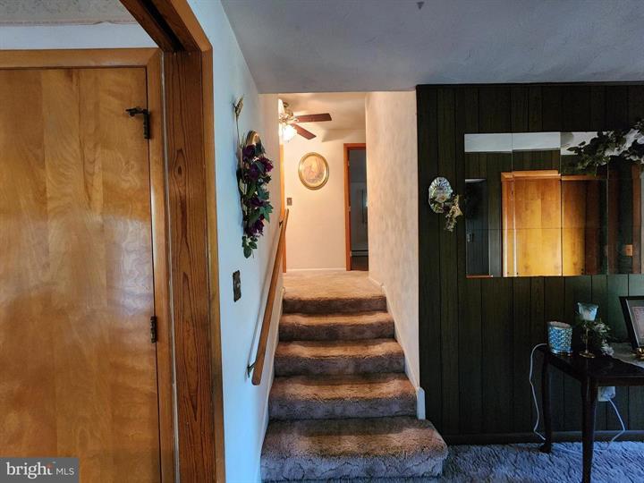 4549 GEORGES RUN ROAD, RIDGELEY - Photo 15 of 25