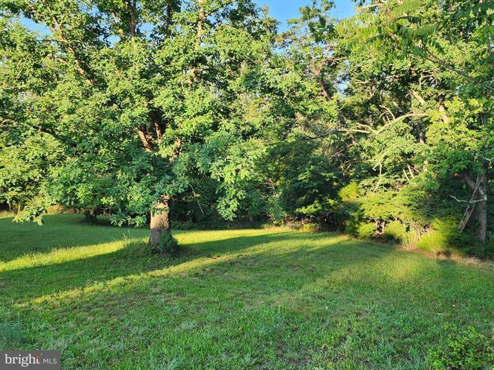 4549 GEORGES RUN ROAD, RIDGELEY - Photo 24 of 25