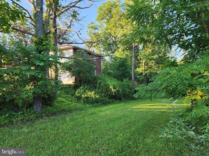 4549 GEORGES RUN ROAD, RIDGELEY - Photo 25 of 25