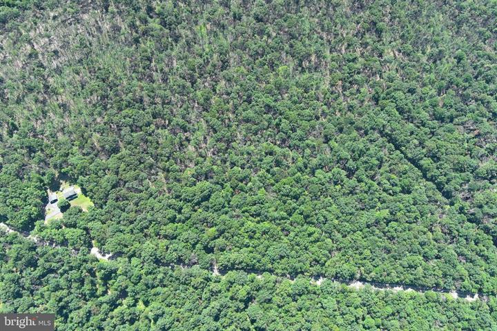 8 CACAPON ROAD, PAW PAW - Photo 25 of 25