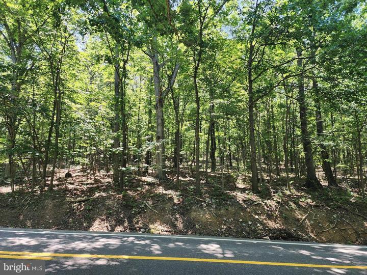 8 CACAPON ROAD, PAW PAW - Photo 21 of 25