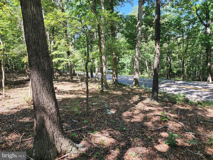 8 CACAPON ROAD, PAW PAW - Photo 8 of 25