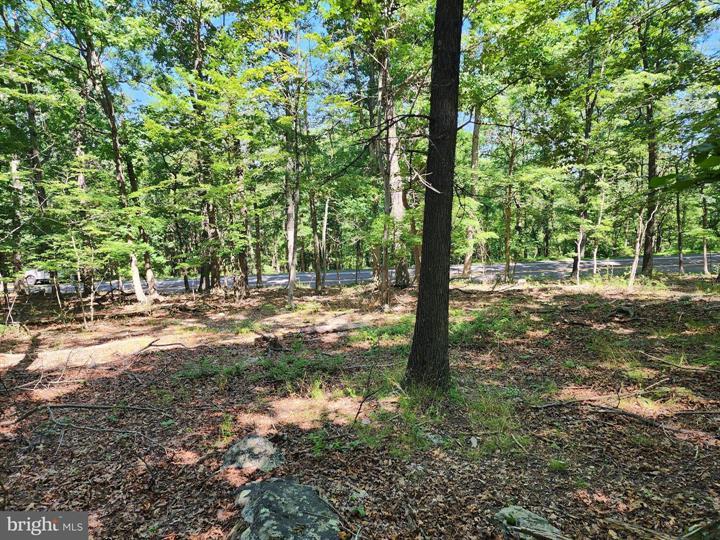 8 CACAPON ROAD, PAW PAW - Photo 10 of 25